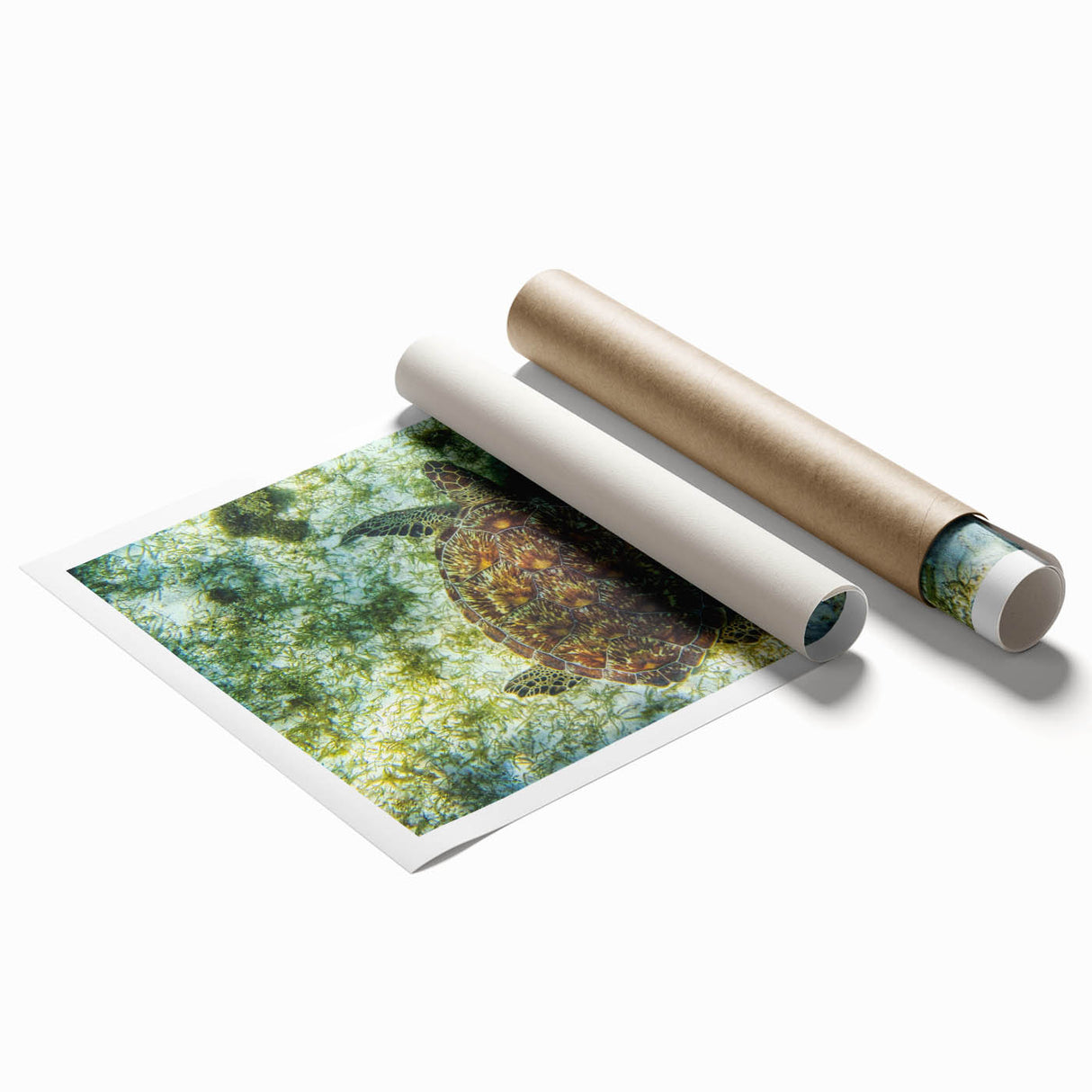 Extra large rolled print of a serene Caribbean Saint Vincent landscape with vibrant green and blue hues.