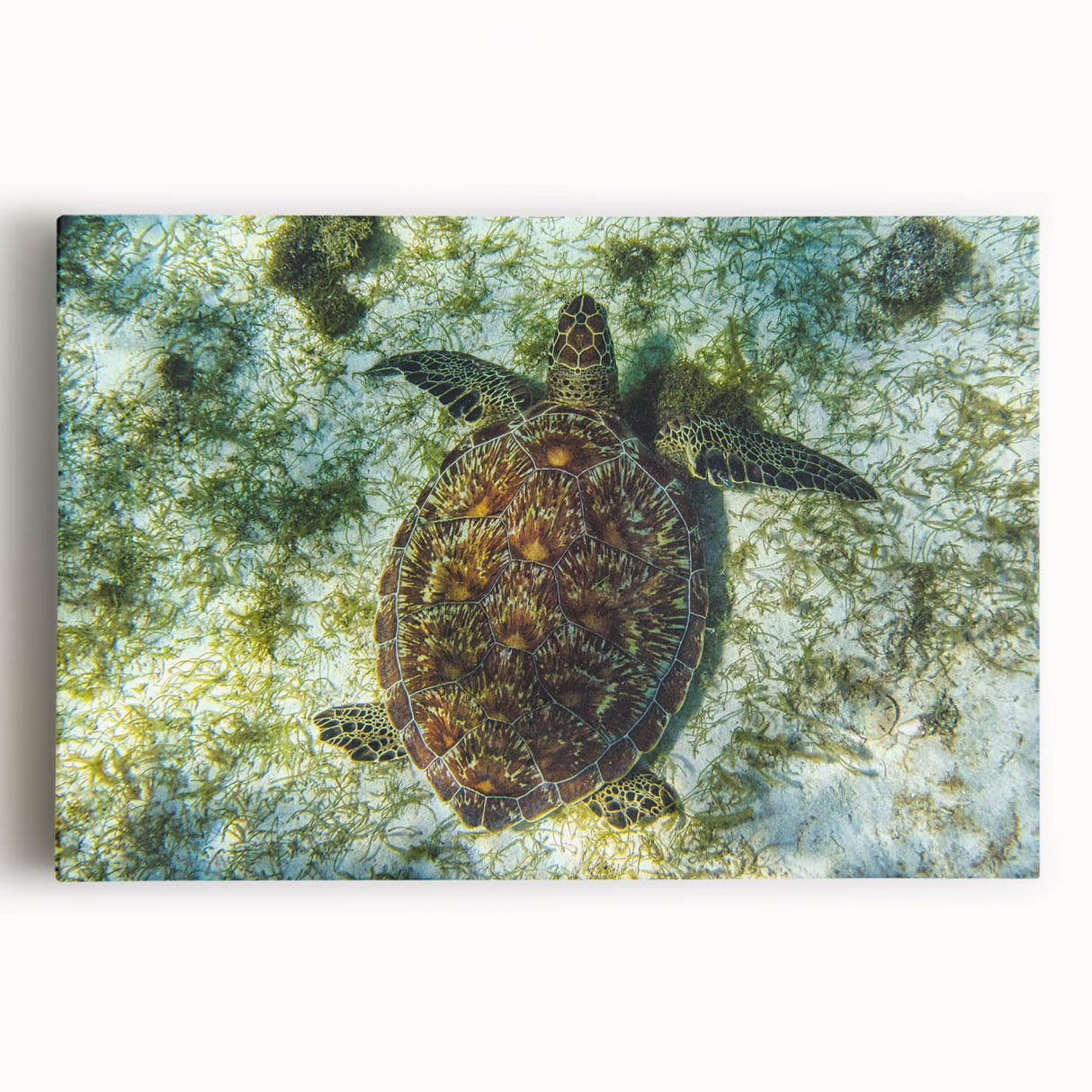 Black and white photograph of Caribbean Saint Vincent scenery on stretched canvas, suitable as kitchen wall art.