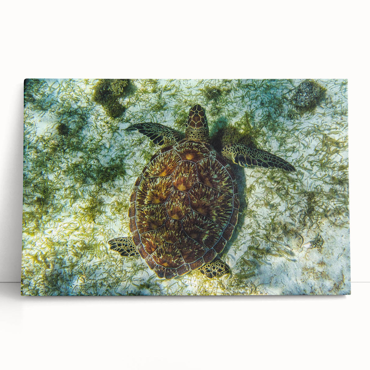 Black and white photograph of Caribbean Saint Vincent scenery on large stretched canvas, suitable for kitchen art.