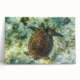 Black and white photograph of Caribbean Saint Vincent scenery on large stretched canvas, suitable for kitchen art.