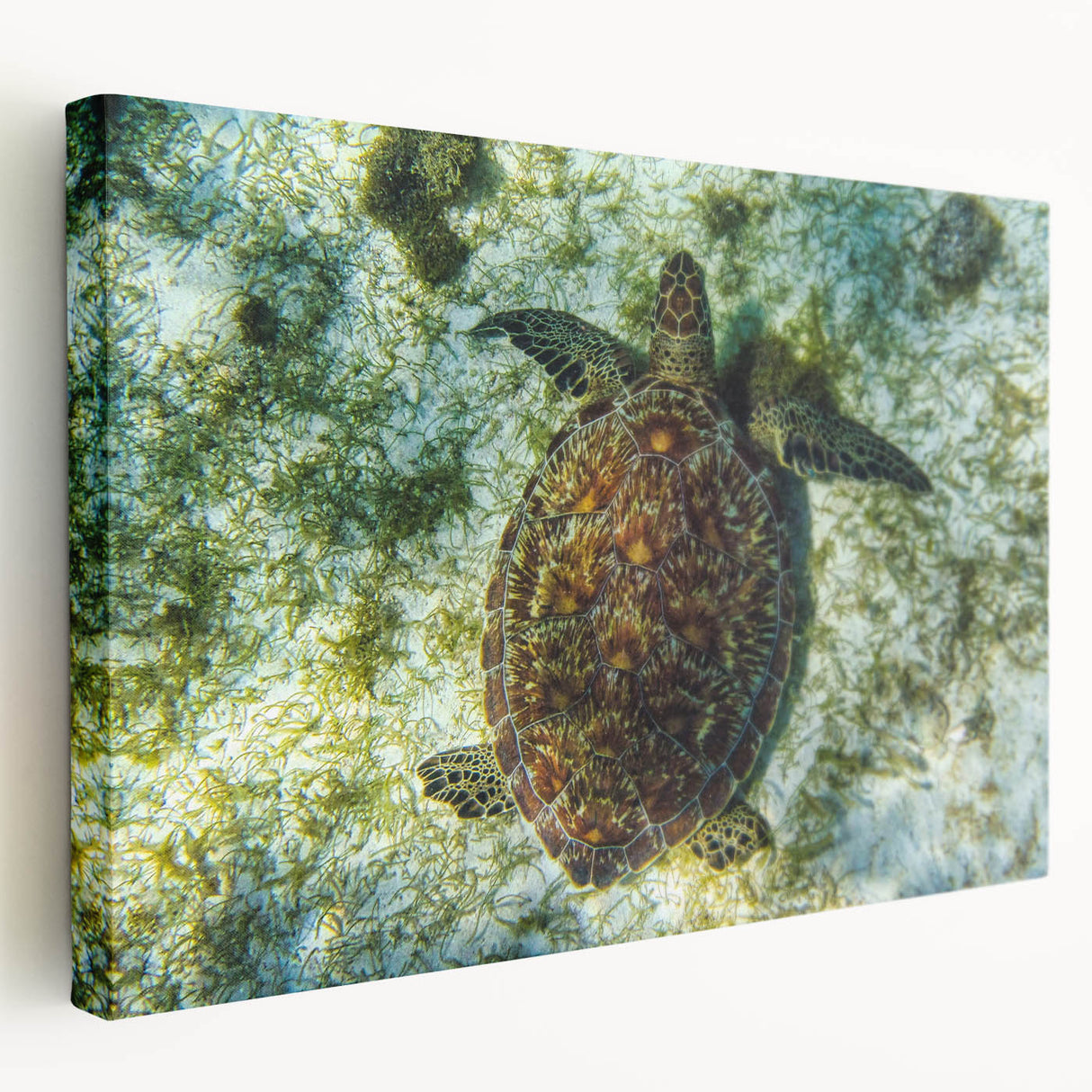 Large stretched canvas depicting a serene Caribbean Saint Vincent scenery in muted blue and green tones.