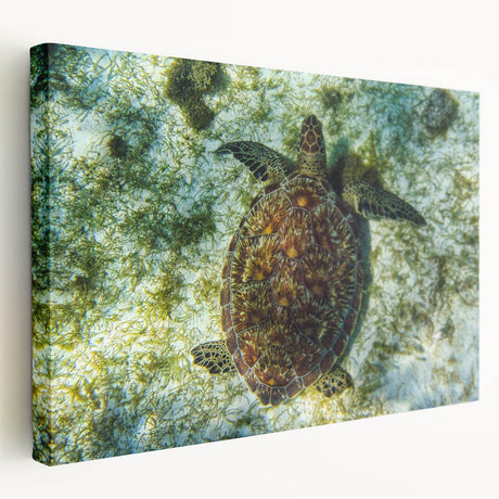 Large stretched canvas depicting a serene Caribbean Saint Vincent scenery in muted blue and green tones.