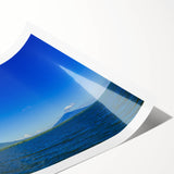 Extra large wall art featuring line art flowers in black on a white background, ideal for large living room decor.