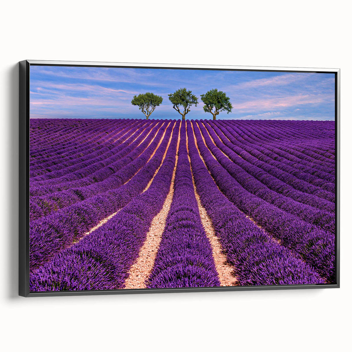 Black and white vintage poster art of a Provence landscape on framed canvas, ideal for bedroom wall decor.