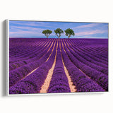 Vintage poster art of a Provence landscape on framed canvas, featuring colorful hues, ideal for living room decor.