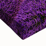 Black and white landscape art painting of Provence on stretched canvas, ideal for bedroom wall decor.