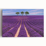 Black and white photograph of Provence scenery on stretched canvas, ideal for kitchen wall art.