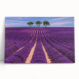 Black and white photo on canvas of Provence scenery, ideal for kitchen wall art.
