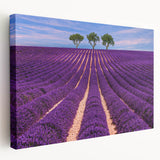 Provence, France landscape on stretched canvas with vivid green and lavender hues, suitable for kitchen wall art.