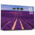 Acrylic print of a Provence landscape in earthy tones and lavender fields, ideal for bedroom or dining room decor.