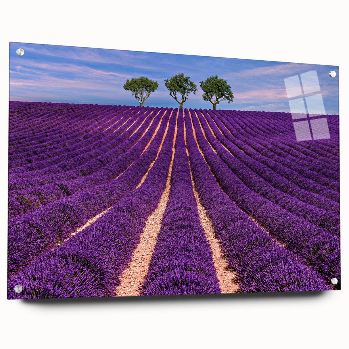 Acrylic print of a Provence landscape in earthy tones and lavender fields, ideal for bedroom or dining room decor.