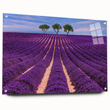 Acrylic print of a Provence landscape in earthy tones and lavender fields, ideal for bedroom or dining room decor.