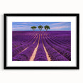 Extra large abstract art print of a vibrant, colorful Provence scenery on textured canvas, framed in black.