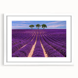 Abstract art print of the Provence landscape in muted earth tones on a framed white mat, suitable for dining room decor.