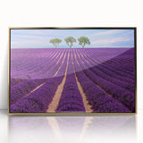 Large art print of a Provence, France scenery in mid-century modernist style, acrylic framed in gold.