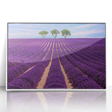 Acrylic print of a Provence landscape in muted earth tones, framed in white, suitable for modern art wall decor.