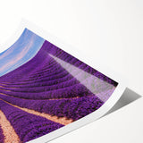 Art deco poster featuring a serene Provence landscape in soft pastel colors on a rolled print.