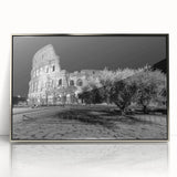 Large art print of Rome scenery in muted earth tones on a framed acrylic, ideal for modern art wall decor.