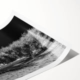 Extra large wall art featuring line art flowers over a scenic view of Rome, printed on rolled canvas.