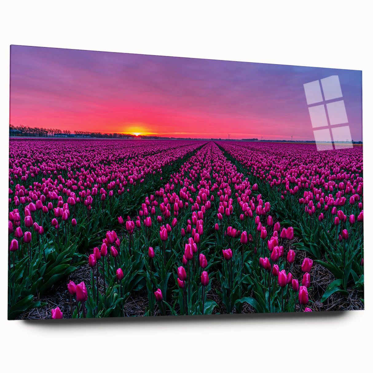 Acrylic print of a serene Dutch landscape in soft pastels, ideal for bedroom or dining room art.