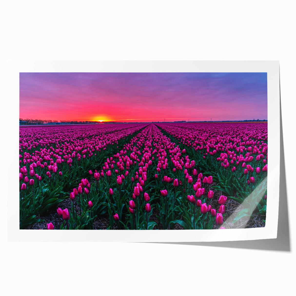 Extra large rolled print of a European scenery with vibrant floral elements, ideal for art wall dining room.