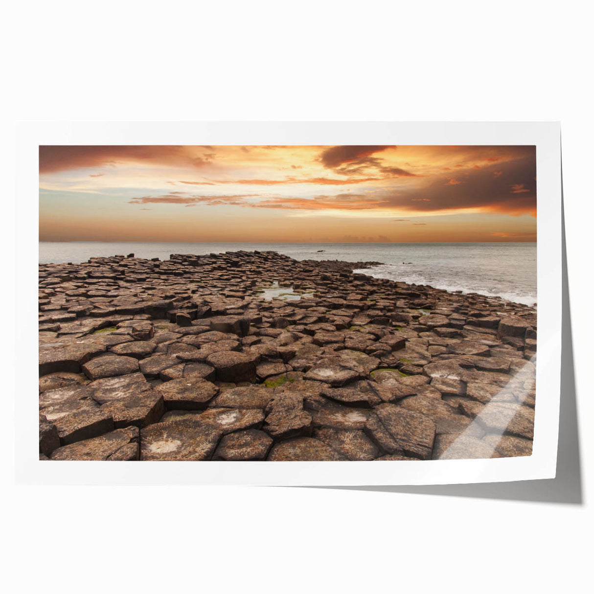 Extra large rolled print of Northern Ireland scenery with floral elements in muted green and blue tones.