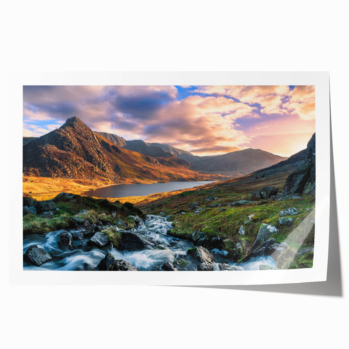 Rolled print of a Welsh landscape with lush greenery and floral elements, in soft earth tones, ideal for dining room decor.