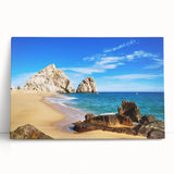 Black and white stretched canvas of Baja California scenery, ideal for kitchen wall art or bedroom ambiance.