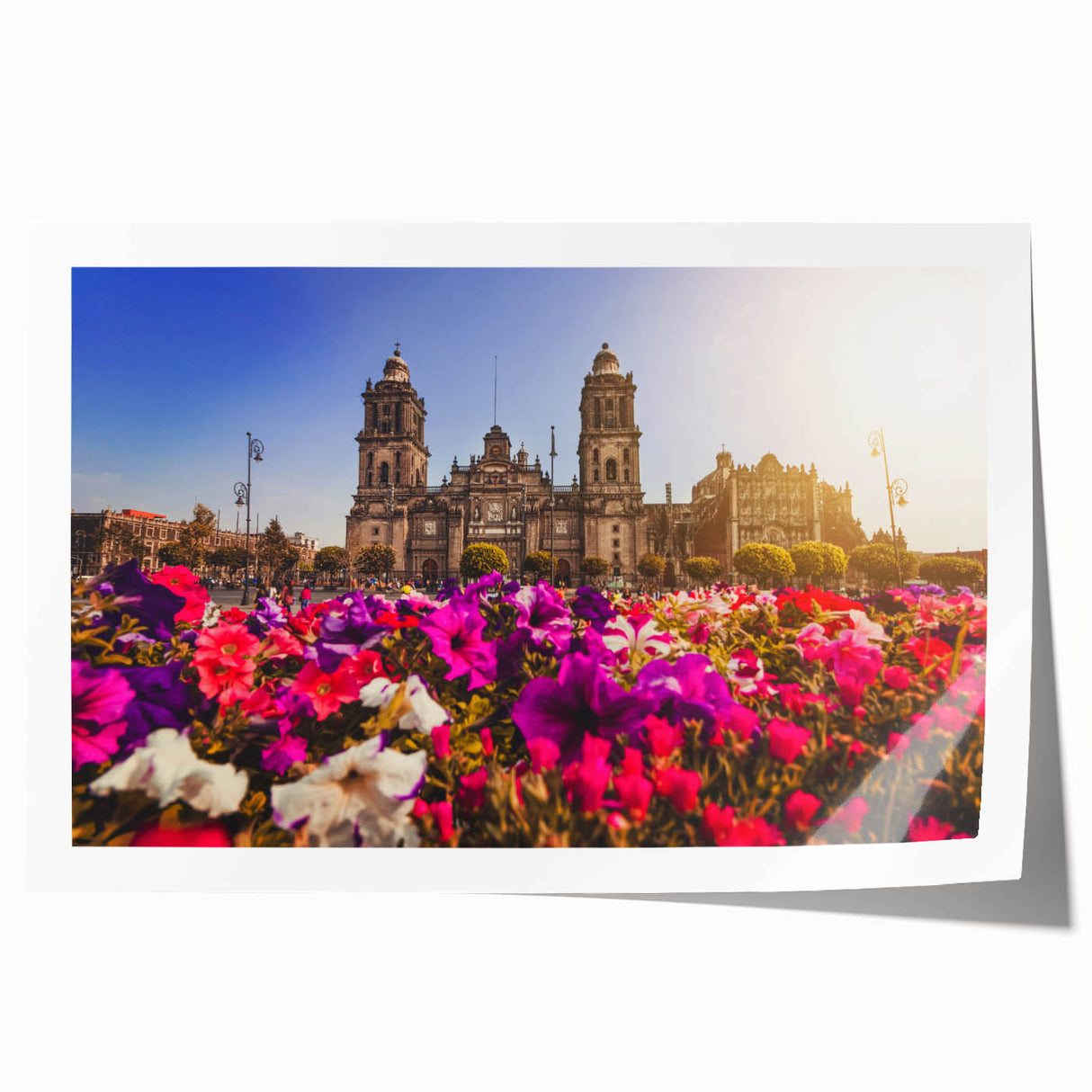 Extra large rolled print of Mexico City scenery with vibrant floral elements, ideal for dining room wall art.