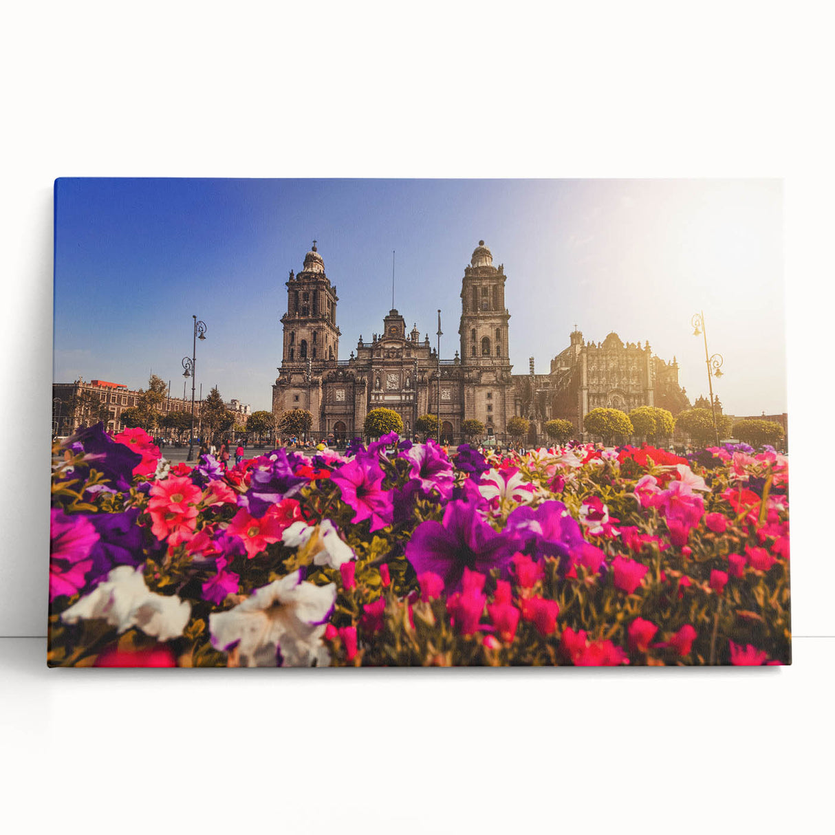 Large black and white stretched canvas of Mexico City scenery, ideal for kitchen wall art or bedroom ambiance.