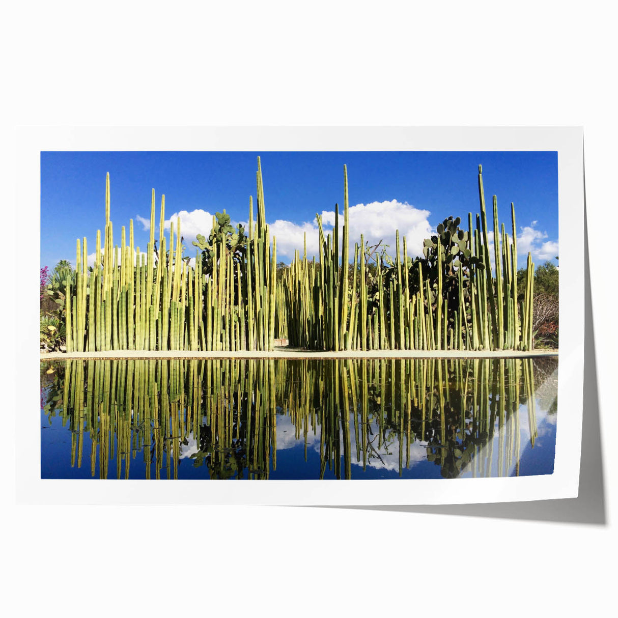 Extra large rolled print of Oaxaca, Mexico scenery with vibrant floral elements, ideal for dining room wall art.