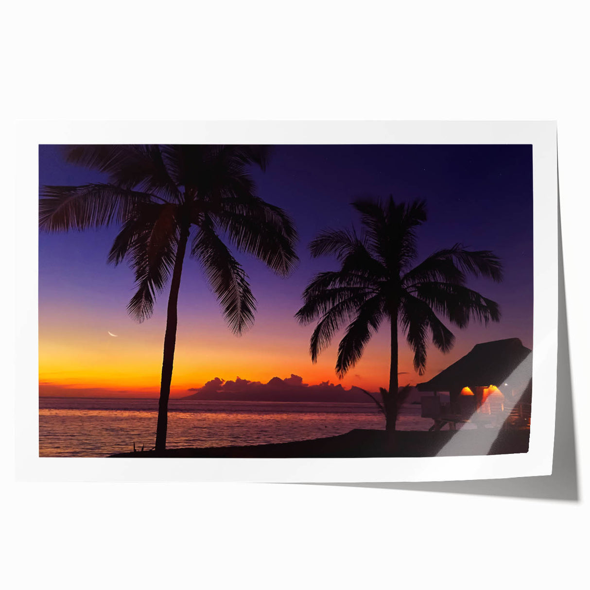 Extra large rolled print depicting vibrant floral scene in Oceania, Fiji, ideal for art wall dining room.