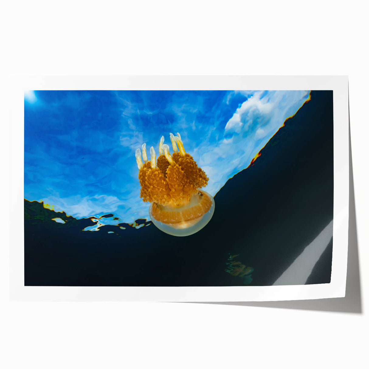 Extra large rolled print of a Micronesian oceanic scenery with vibrant blue and green hues, ideal for art wall dining room.