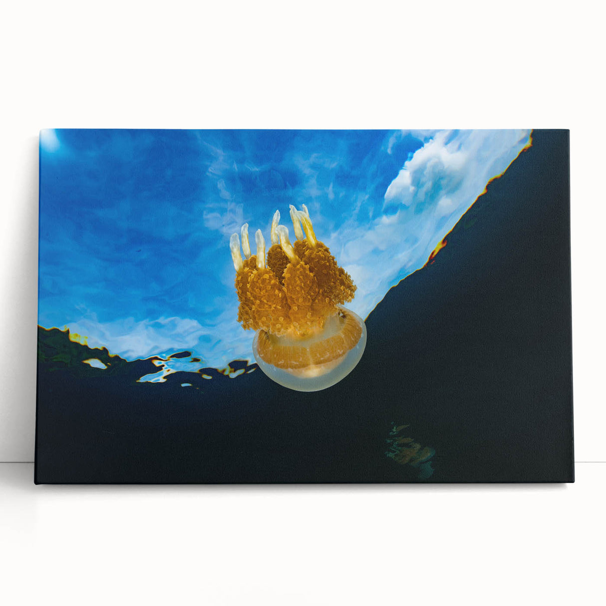 Black and white stretched canvas featuring a serene Micronesian seascape, ideal for kitchen wall art or bedroom ambiance.