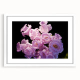 Abstract art print of New Zealand's Canterbury region in muted earth tones on a framed white canvas.