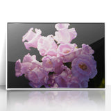 Art deco poster of Canterbury, New Zealand scenery on framed acrylic, featuring pastel blue and green tones.