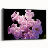 Framed canvas featuring a black and white vintage landscape of Canterbury, New Zealand, ideal for bedroom wall art.