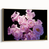 Framed canvas featuring a vintage-style landscape painting of Canterbury, New Zealand, in black and gold tones.