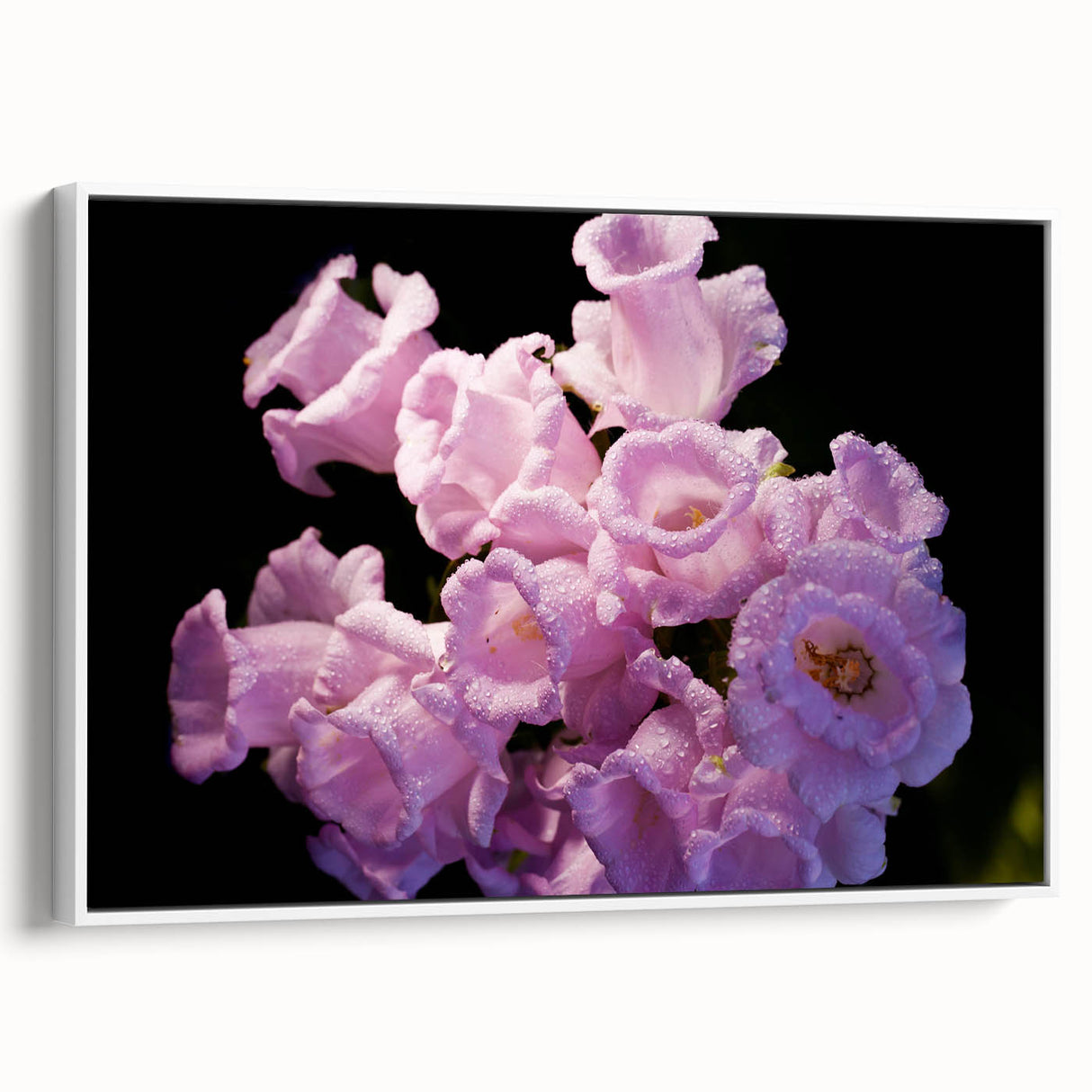 Vintage poster art featuring a black and colorful New Zealand Canterbury landscape on extra large framed canvas.