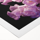 Art deco poster featuring the Canterbury, New Zealand landscape in muted earth tones on rolled canvas.