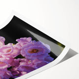 Extra large rolled print of a Canterbury, New Zealand scenery with vibrant floral elements.