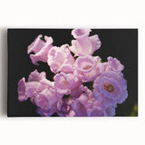 Black and white photograph of Canterbury, New Zealand on stretched canvas, ideal for kitchen wall art.