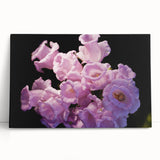 Black and white stretched canvas of Canterbury, New Zealand scenery, ideal for kitchen wall art.