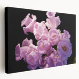 Large art print of a tranquil New Zealand Canterbury landscape on stretched canvas, showcasing muted earth tones.