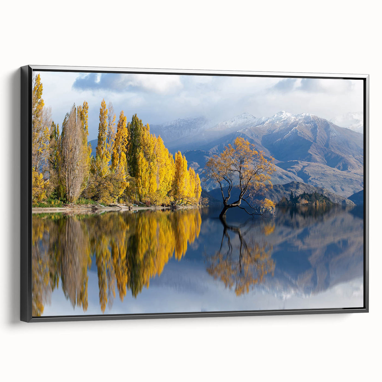 Black and white landscape art painting of Otago, New Zealand on framed canvas, suited for bedroom decor.