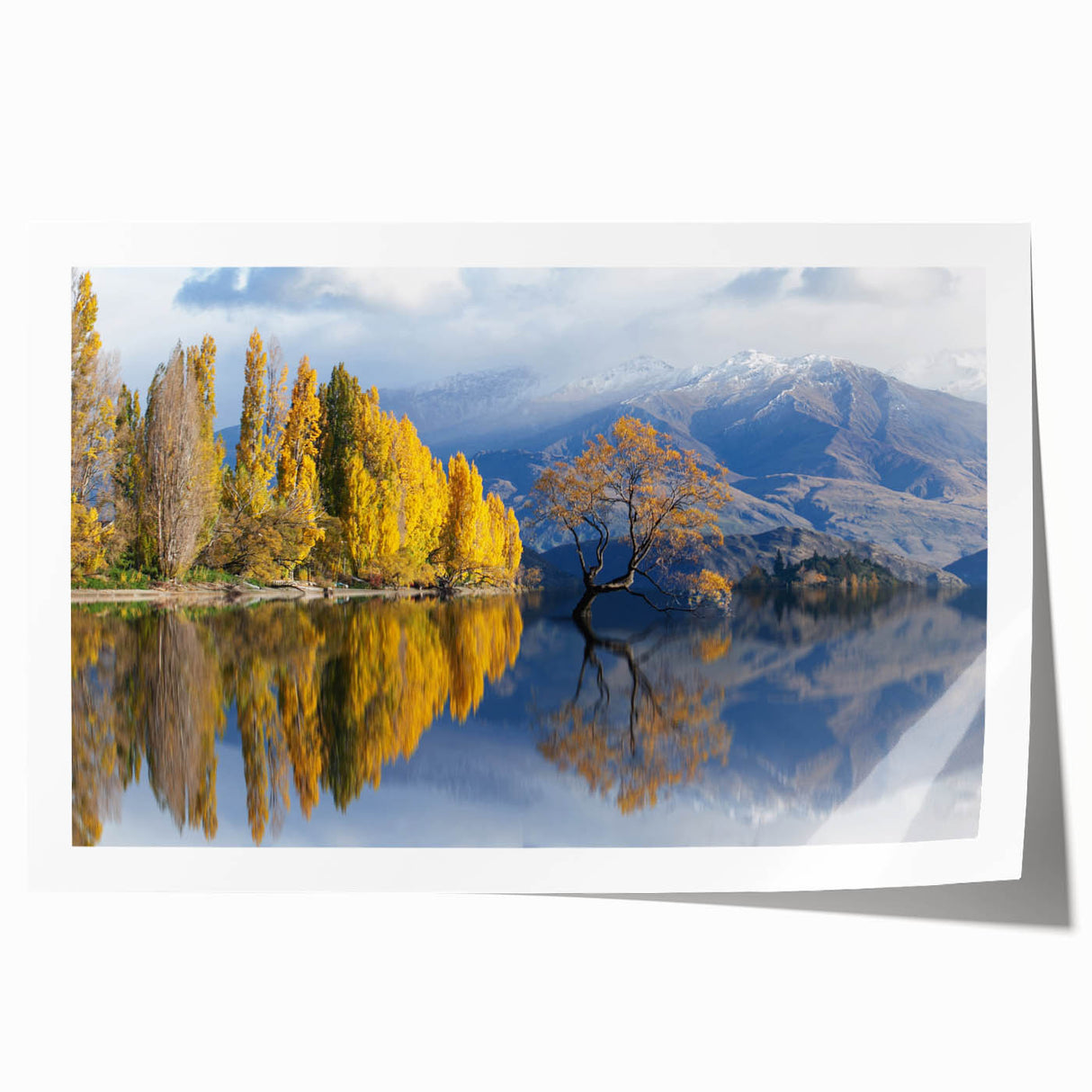 Extra large rolled print of Otago, New Zealand scenery in muted earth tones, ideal for art wall dining room or bathroom.