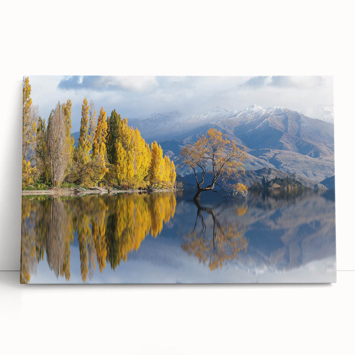 Black and white photograph of Otago, New Zealand on stretched canvas, ideal for kitchen wall art or bedroom ambiance.