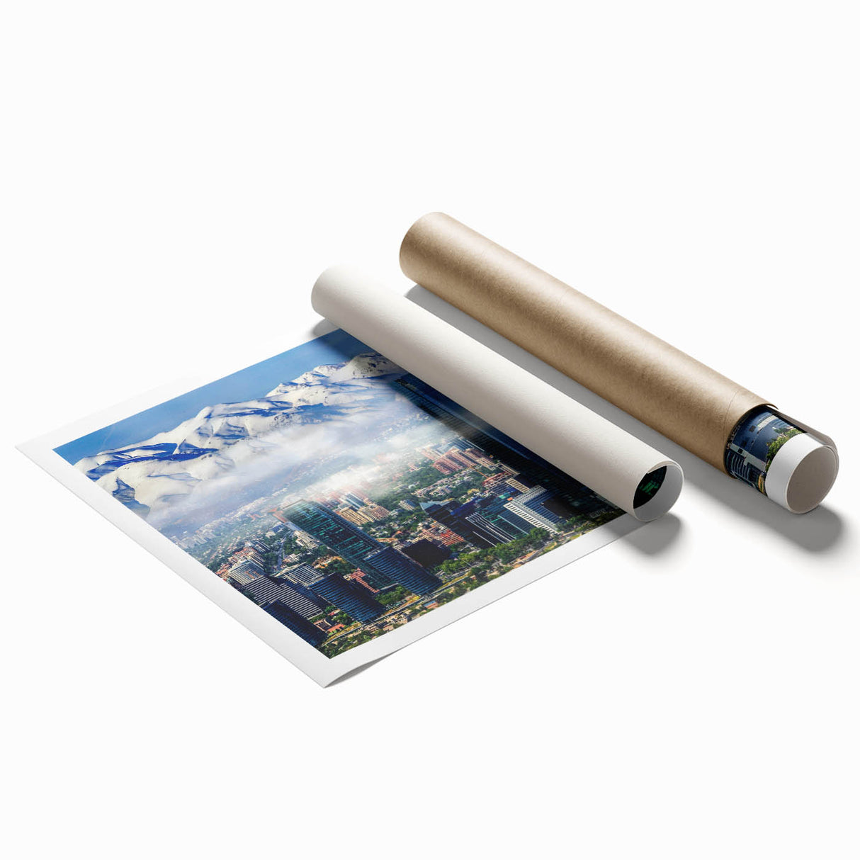 Extra large rolled print featuring a vibrant floral art scene from Santiago, Chile, ideal for classy bathroom wall art.