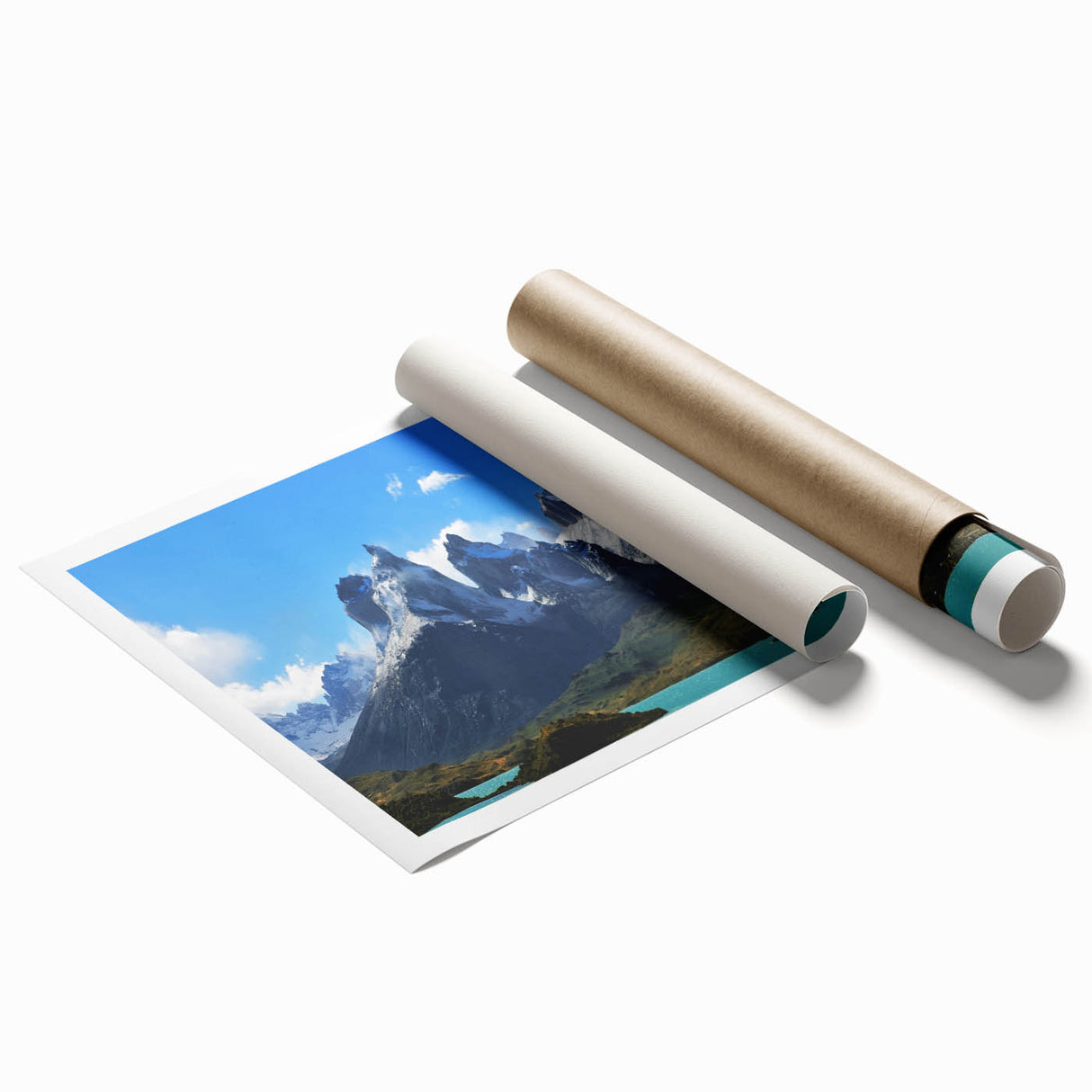 Extra large rolled print of a Chilean landscape featuring vibrant floral elements in a minimalist style.