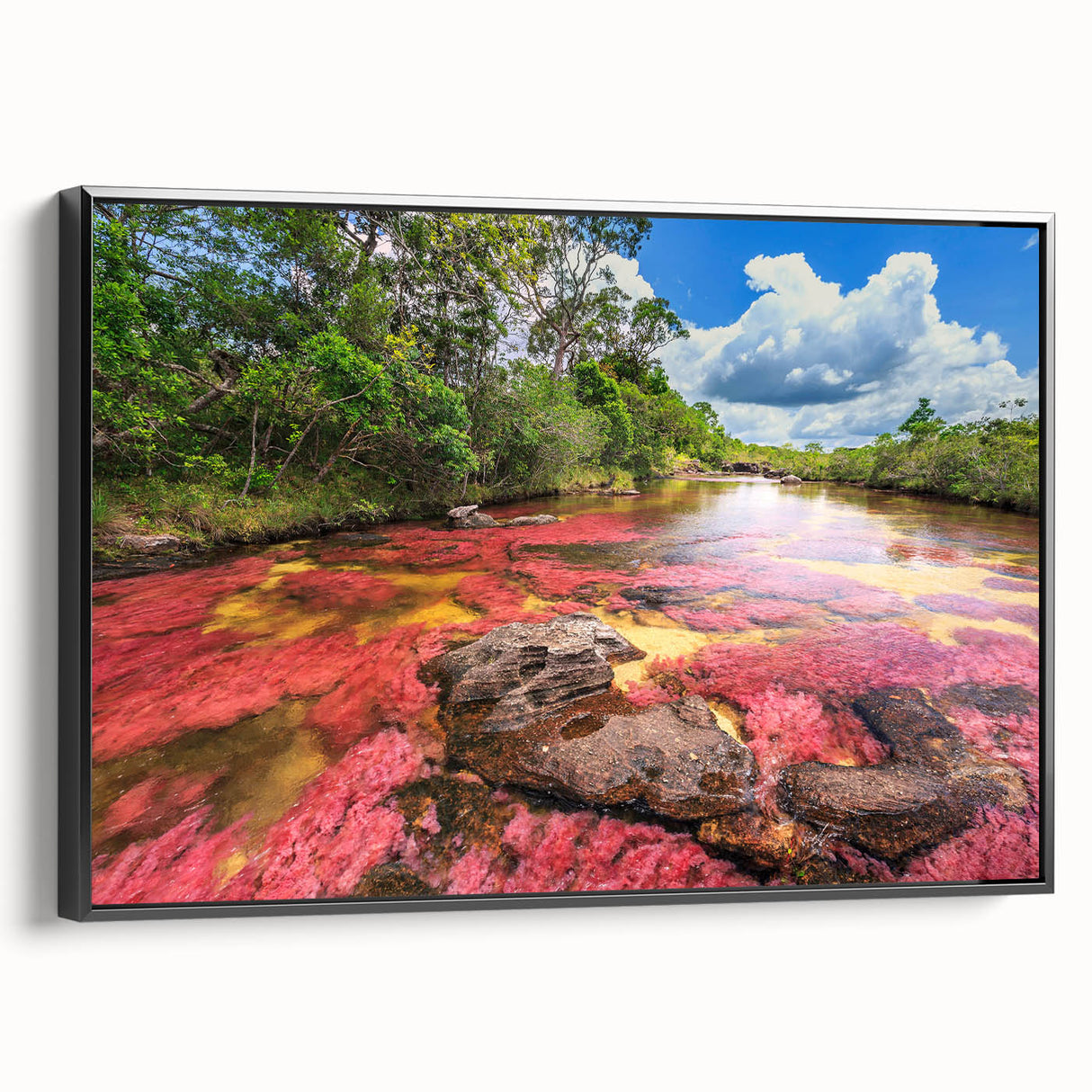 Black and white framed canvas of a vintage Colombian landscape, ideal for bedroom wall art.